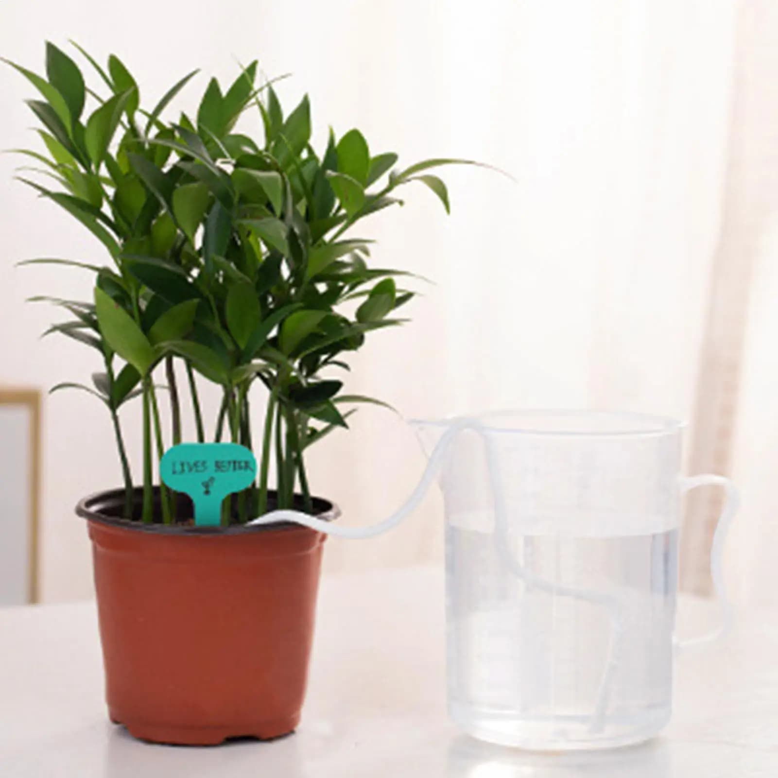Capillary corda for automatic irrigation of 2 pieces, 60 feet, 1/6 inch, for flower pots and interior planters