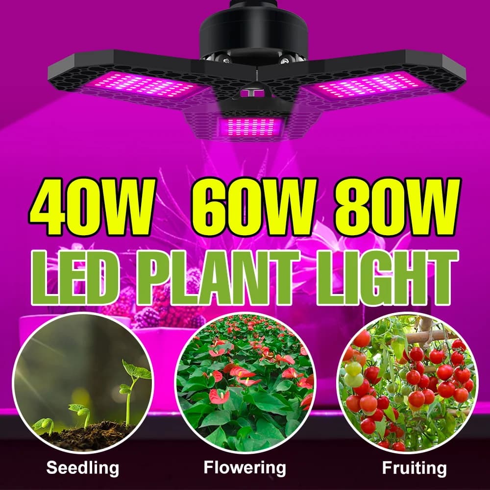 LED Lamp for Cultivation 80W E27, Complete Mirror Light for Plants, Indoor Cultivation Lamp, Lighting for Serre and Blinds, for Fruit Seeds and Vegetables
