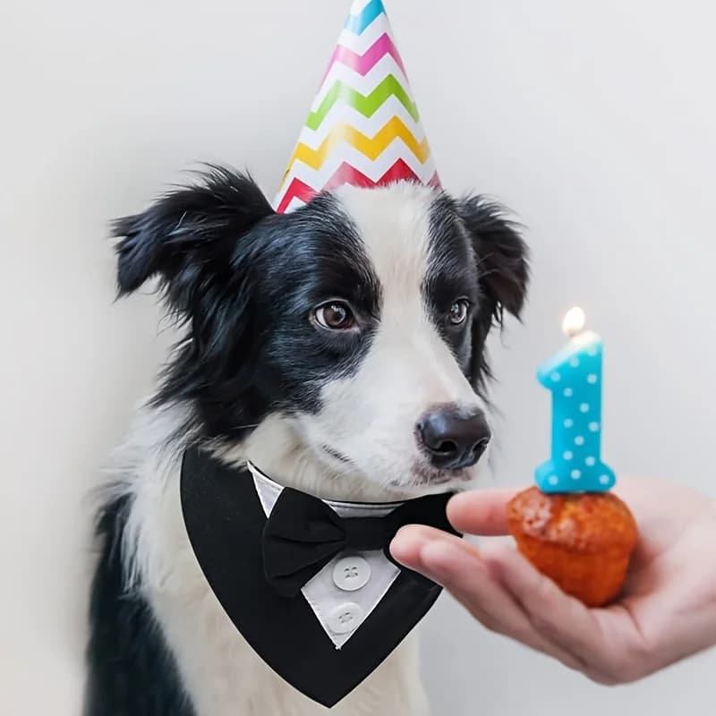 1 Pezzo Sciarpa per Animali Domestici con Fiocco Festivo, Collare per Cani e Gatti, Perfetto per San Valentino, Pasqua, Decorazioni per Matrimoni, Costume per Animali