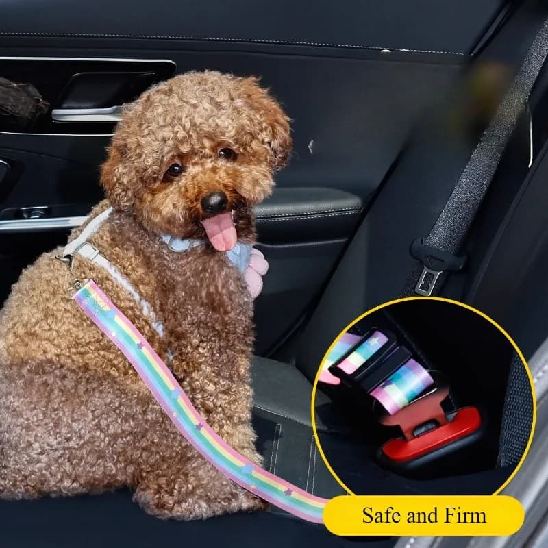 Per cintura di sicurezza per auto per animali domestici Guinzaglio per cintura di sicurezza per cani Speciale per gatti Fibbia di sicurezza per uscire e cavalcare artefatto