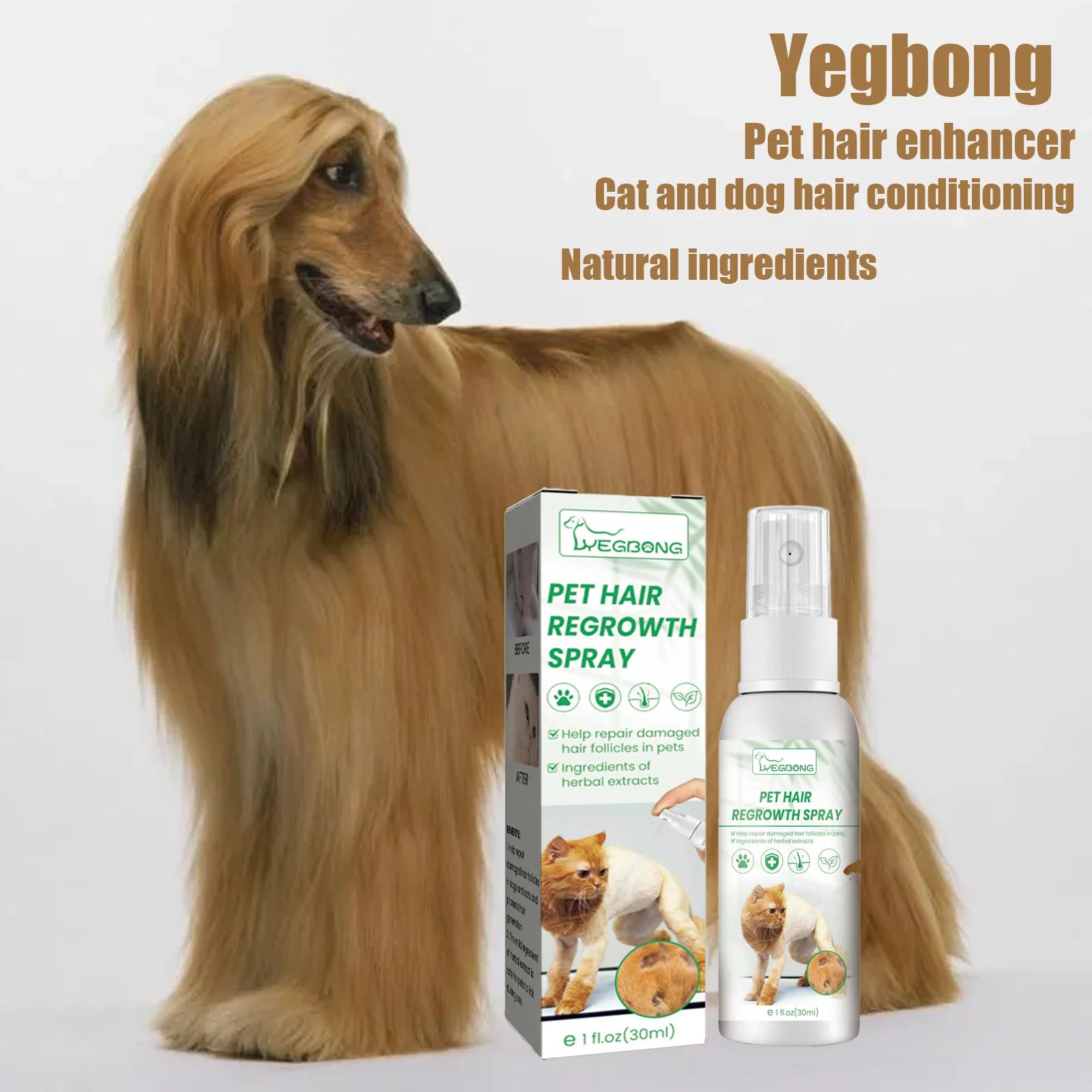 Spray per la cura della pelle degli animali domestici Ricrescita dei capelli Sollievo dal prurito Rimozione degli acari Deodorizzazione Lenitivo Anti pulci Pidocchi Assassino di insetti Spray per muschio per animali domestici