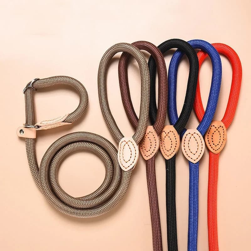 Guinzaglio e Pettorina Regolabili per Cani, Guinzaglio in Nylon per Animali Domestici, Pettorina per Cani, Cinghia Resistente, Accessori Leggeri per Cani, Collare per Gatti