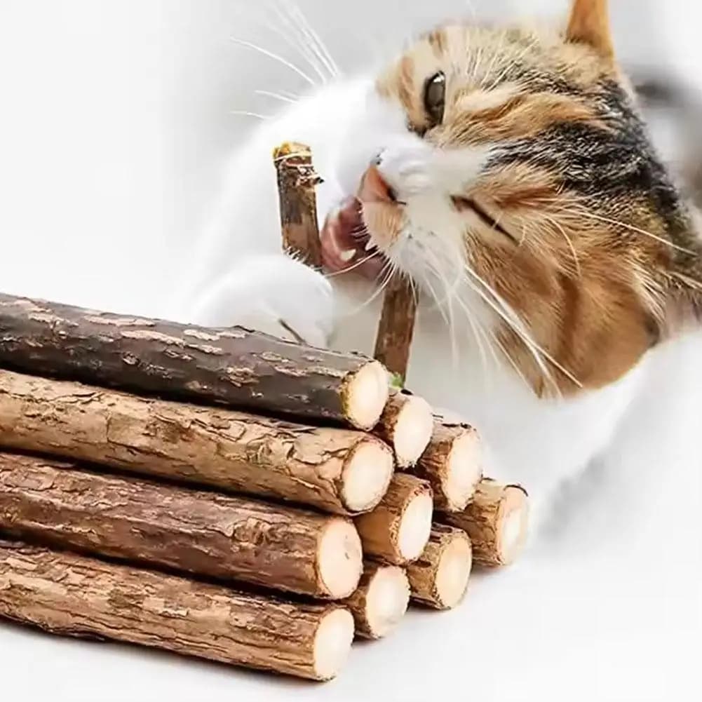 5-50pcs Catnip Stick Pet Cat molare Toys legno naturale Polygonum Sticks pulizia dei denti alleviare la noia snack mastica giocattoli