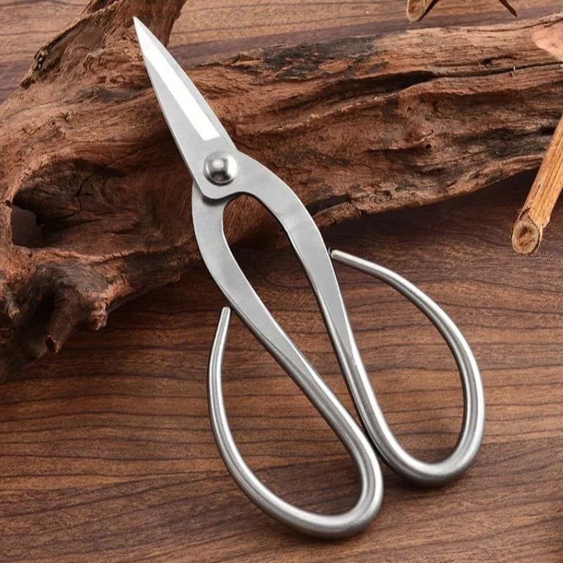 Tender Leaf Shears Bonsai Pruning Scissors Professional Garden Gardening Shears Stainless Steel Manual Scissors for Flowers