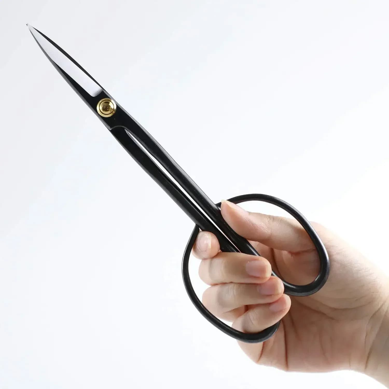 Black scissors with long handle Tool for bonsai for beginners Shears for pruning branches to organize flowers and cutting plants Garden tools