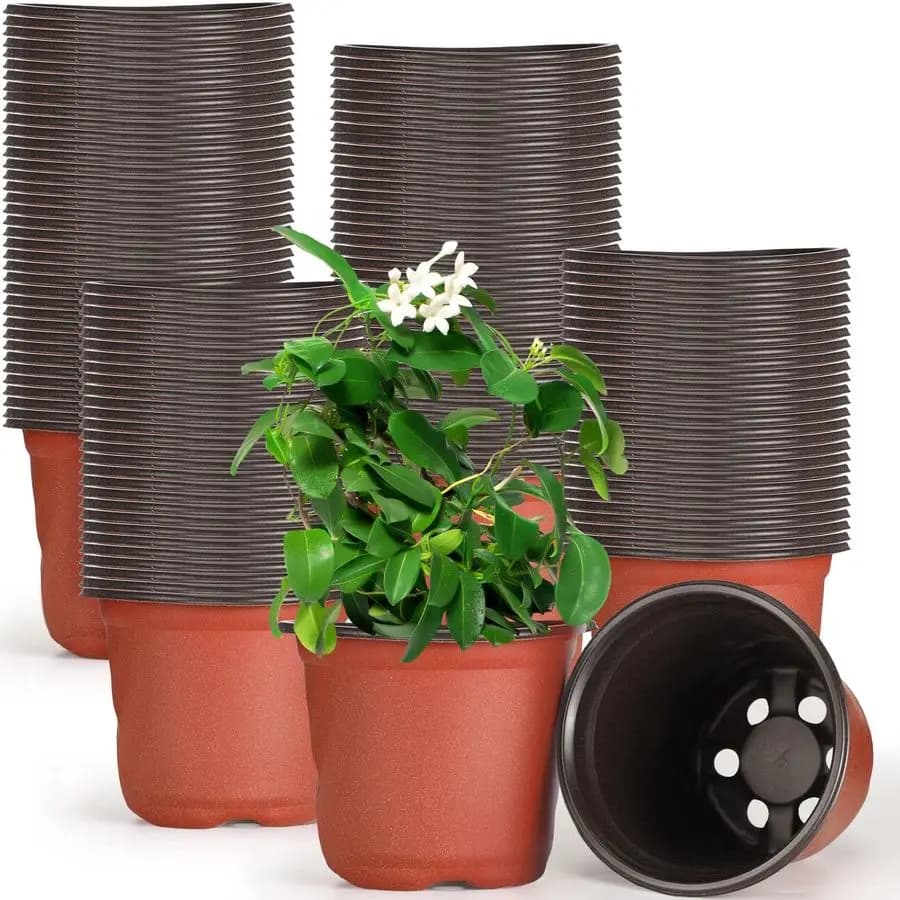 Plastic jars for planting and planting, containers for plants and garden flowers