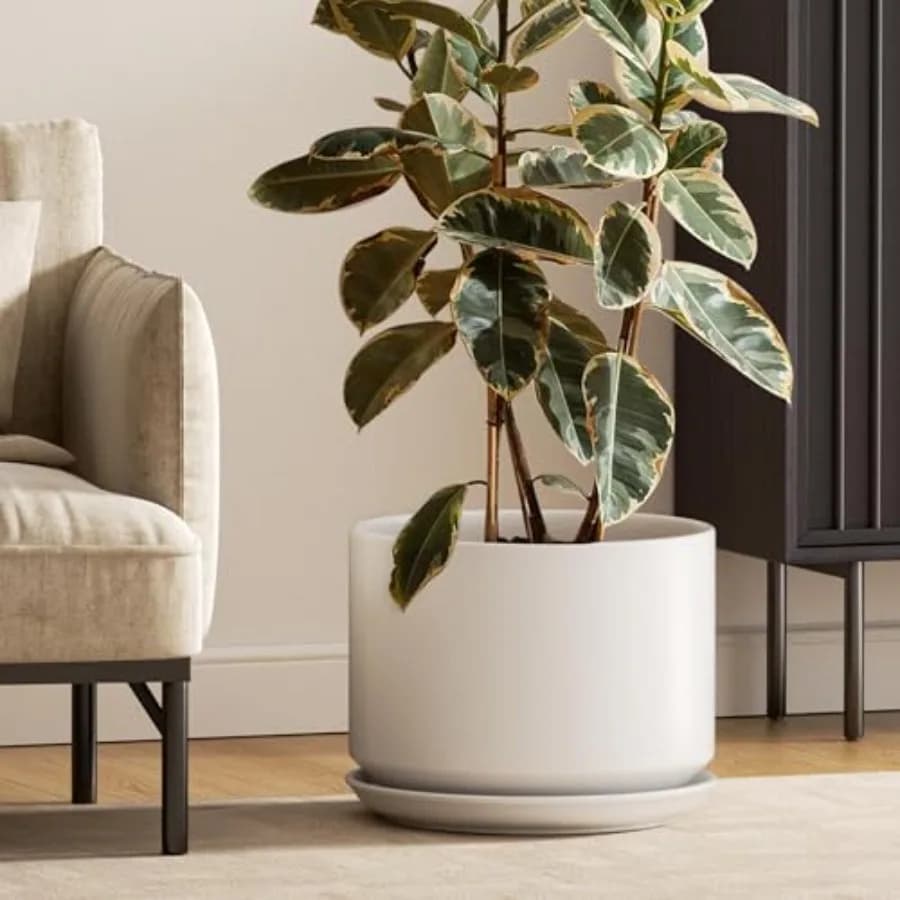 Vasi in Ceramica da 12 Pollici con Fori di Drenaggio e Sottovasi, Bianchi, Eleganti e Resistenti, Vaso Grande per Arredamento Casa e Ufficio
