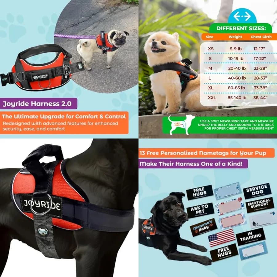 2.0 - Collare ad anello Originale per cani - Senza soffocamento, a prova di fuga, riflettente, 3 anelli, adattamento rapido per veterinari - Facile da indossare e addestrare