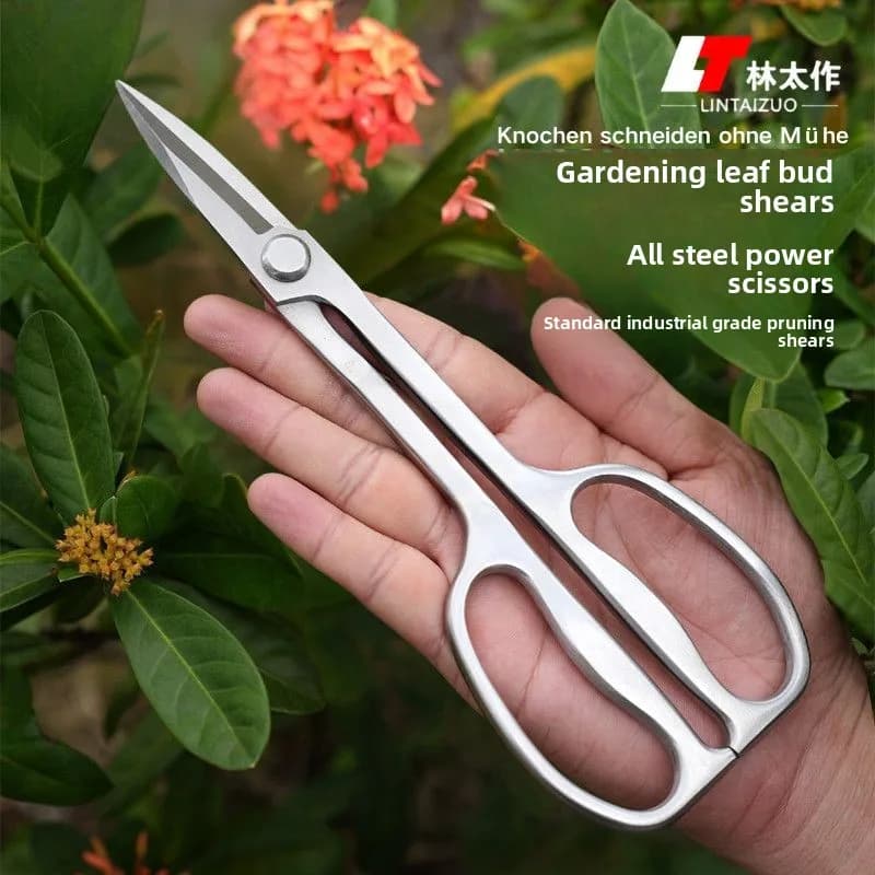 Forbici da Giardinaggio in Acciaio per Composizioni Floreali, Paesaggistica, Bonsai e Potatura di Piccoli Rami con Lama Rinforzata