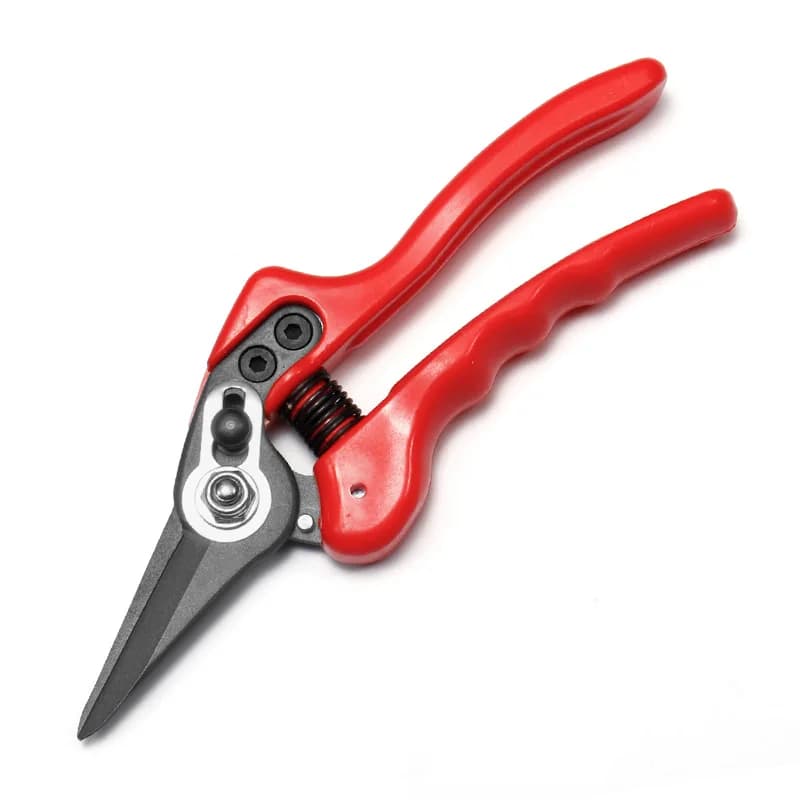 SK5 pruning shears in teflon Garden flower shears Tree branches Fruit tree shears Tool