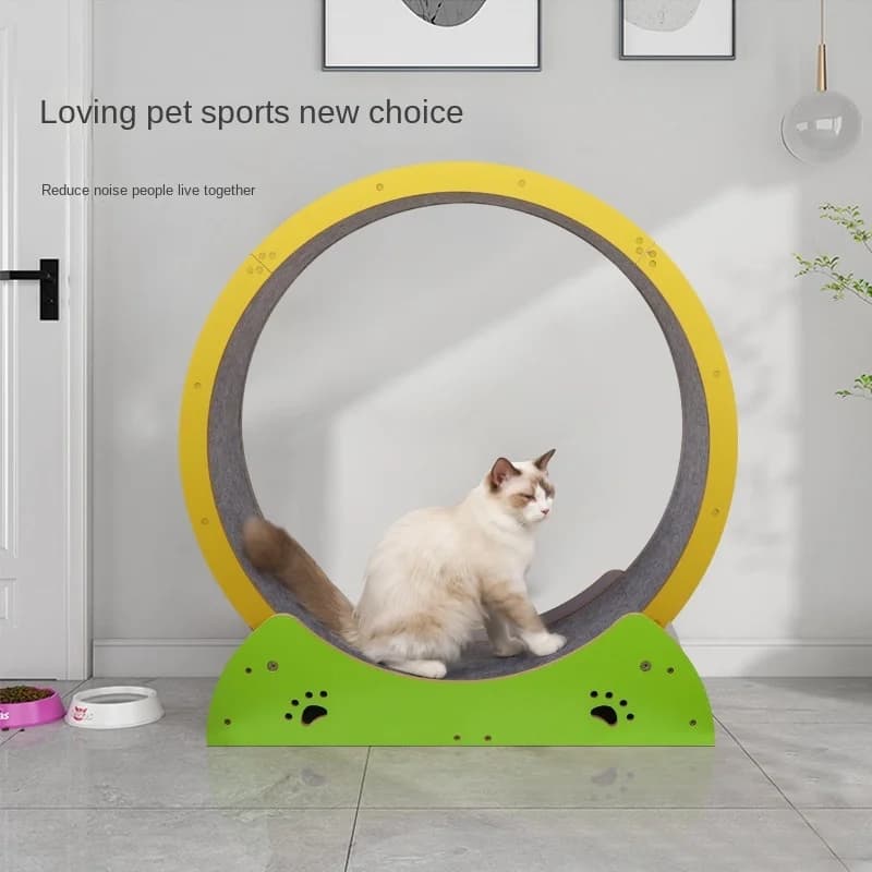 Tapis roulant per gatti Struttura da arrampicata Graffi Rullo fitness per animali domestici Sport silenzioso Ruota da corsa Mobili Giocattoli per gatti Prodotti per animali domestici