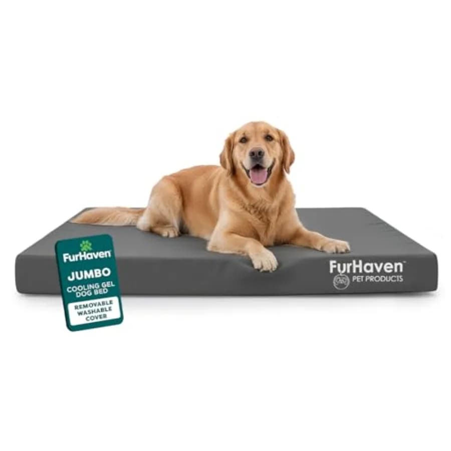 Cuccia Ortopedica Impermeabile per Cani con Materasso in Polycanvas Oxford e Schiuma Solida Ortopedica per Supporto Articolare Rimovibile