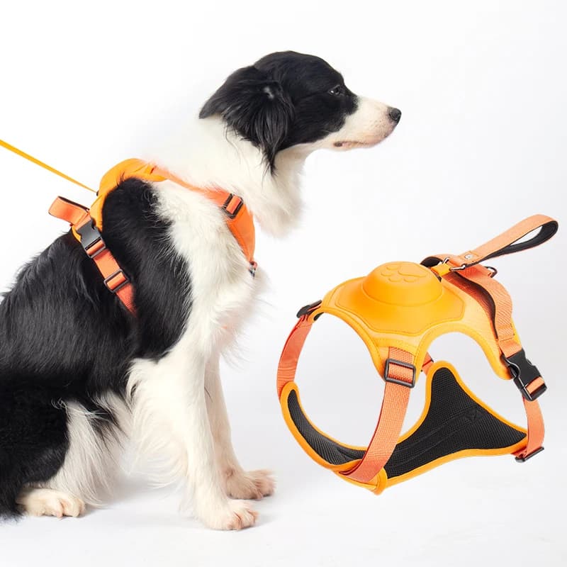 Retractable Dog Leash Anti-Pull Harness Set Adjustable Pet Chest Strap for Small Medium Large Dogs Outdoor Walking