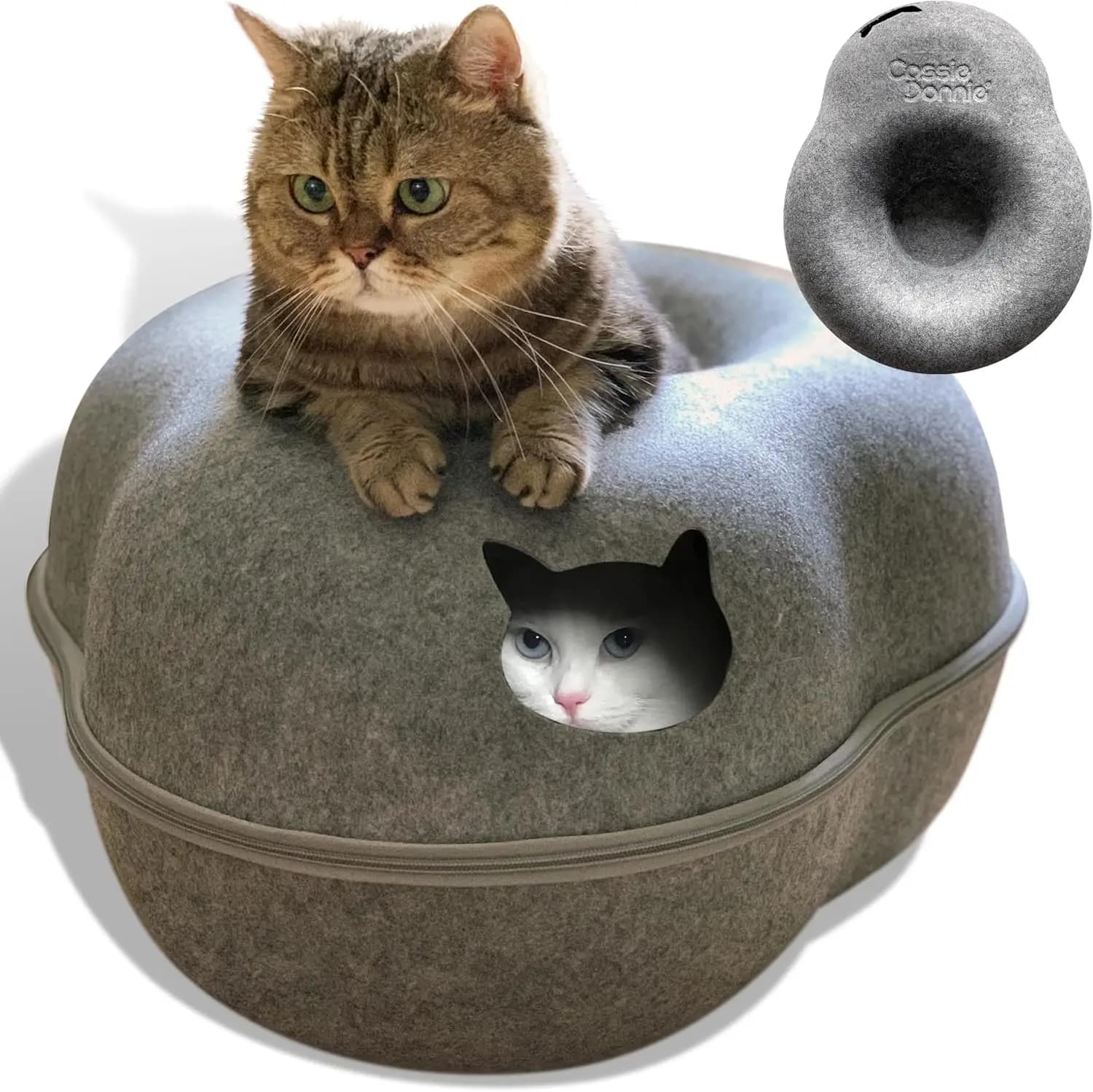 Cuccia Premium a Tunnel per Gatti da Interno, Grande, Lavabile, Ecologica e Spaziosa per 2 Gatti