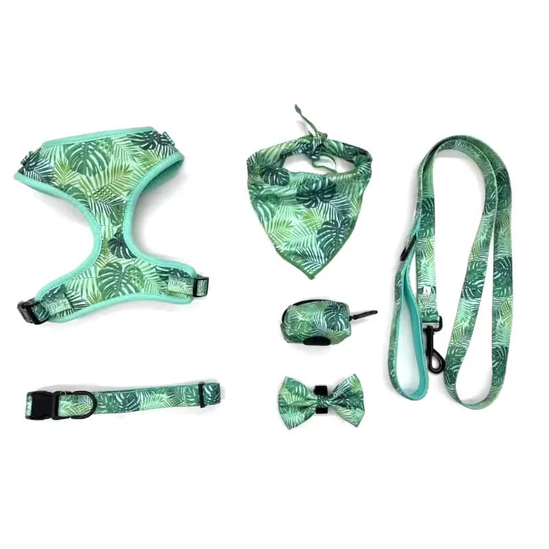 Ready to Ship New No Pull Dog Harness and Leash Set Adjustable Personalized Pet Dog Harness Collar Lead