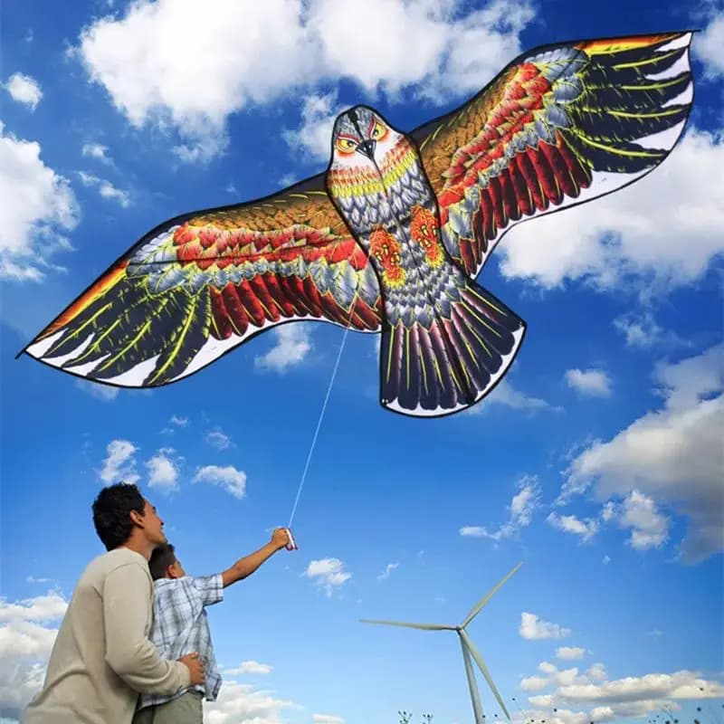 Eagle kite kite flying birds for kids kite power cord kite outdoor fun beach kite parapente kite for adults fun koi