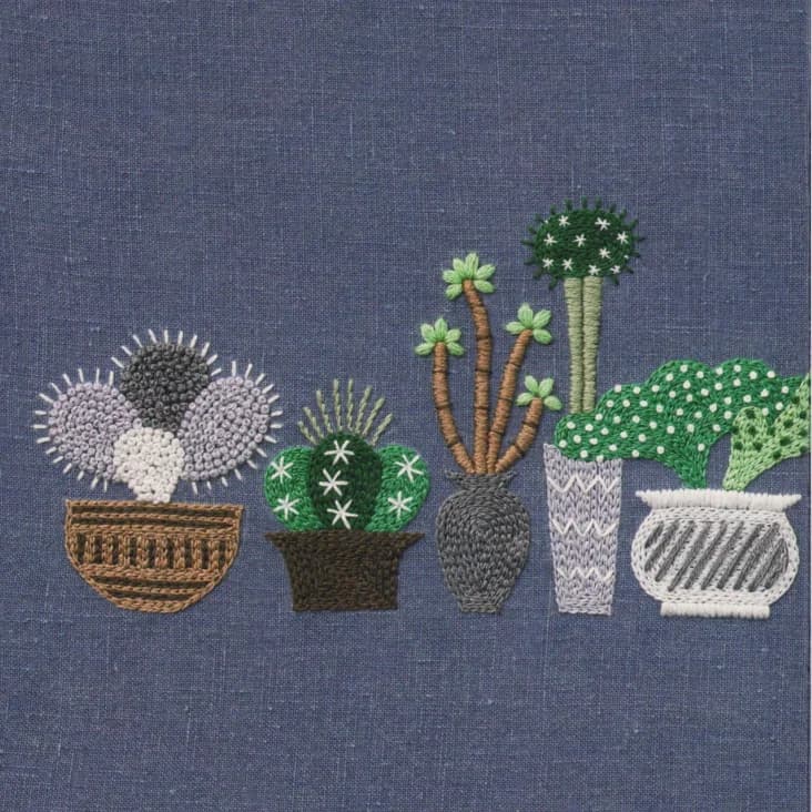 Soft Stencil for Hand Embroidery with Cactus Design in Vase, Reusable for Fai-da-Te, Home Cucito and Craft Materials