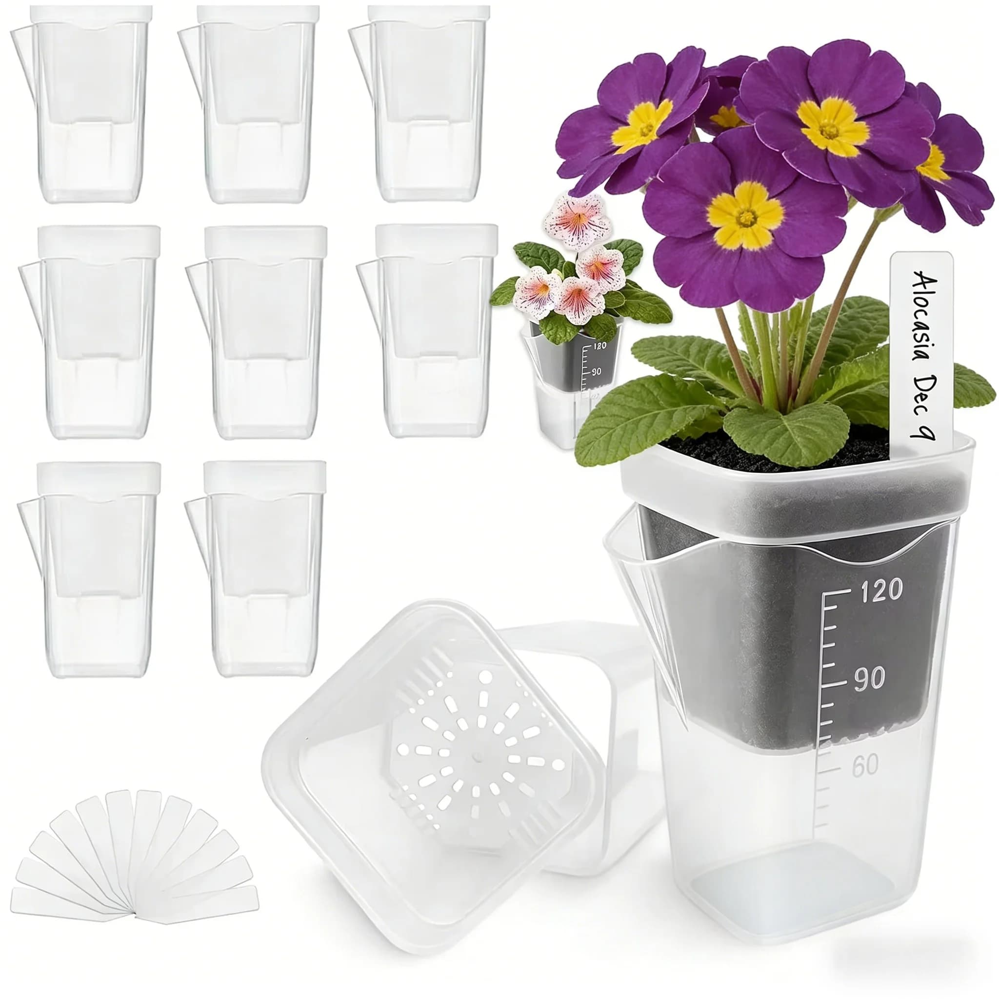 2/10/15 self-irrigating pots for indoor plants, small transparent plastic planters, for grafts, sowing, water level indicator, drainage hole