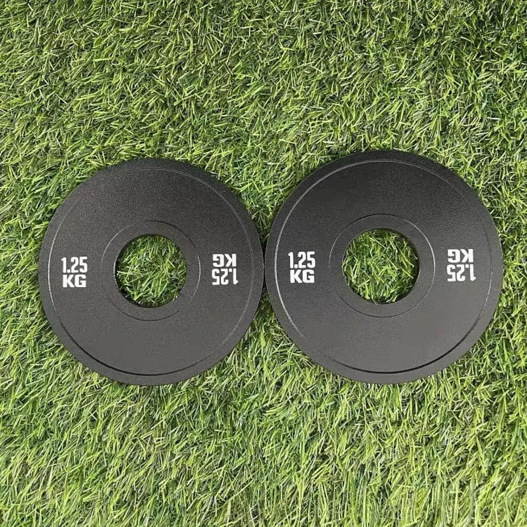 Precision Micro Weight Plate Steel Barbell Disk for Weight Lifting Home Gym Strength Workouts