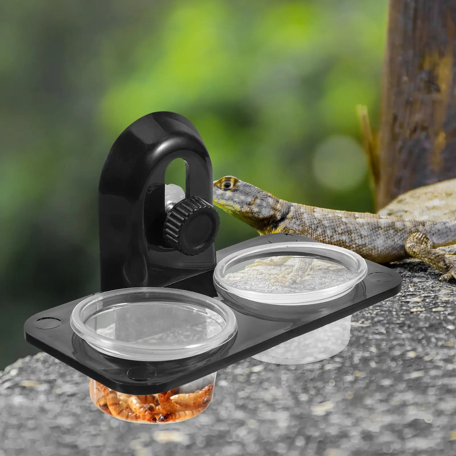 Container for Food and Water in Vine for Reptiles, Bowl for Lizards, Turtles, Gecs, Scorpios, Centopiedi