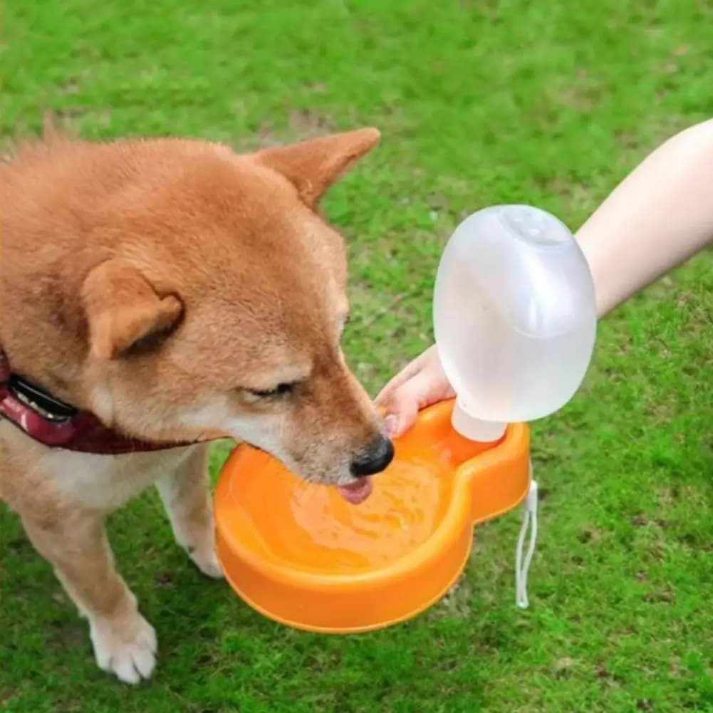 Bottiglia d'Acqua Pieghevole per Cani e Gatti, Ciotola Portatile in Plastica per Animali Domestici, Contenitore per Cibo e Acqua a Prova di Perdite