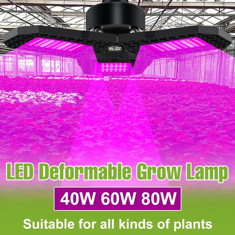 LED Lamp for Indoor Cultivation 80W, Complete Spectrum E27, Lighting for Plants in Serra, Cultivation Tent, Flowers, Fruit and Vegetables