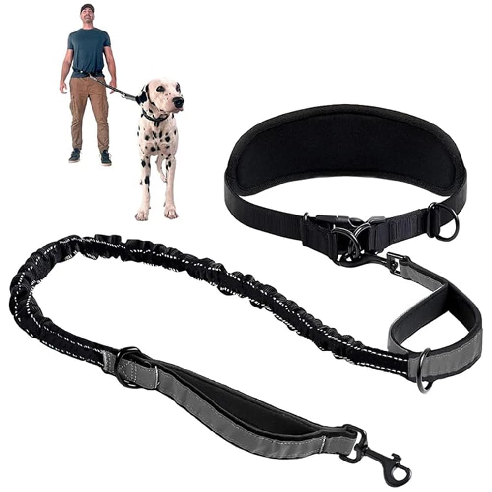 Guinzaglio per cani a mani libere Guinzaglio per cani con cintura di supporto lombare Guinzaglio per cani allungabile multifunzionale Guinzaglio elastico riflettente Nero