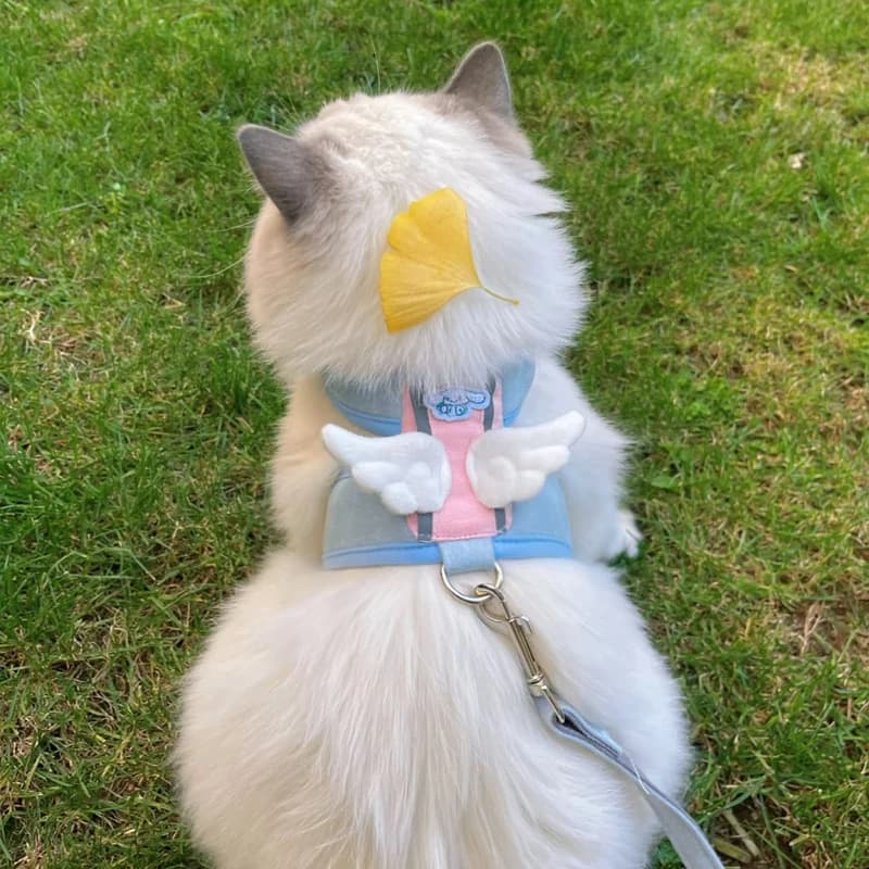 Pet Blue Pink Angel Wing Vest Harness with Leash Kawaii Personalized for Cat Dog Harness Necklace Accessories Cat Harness Leash
