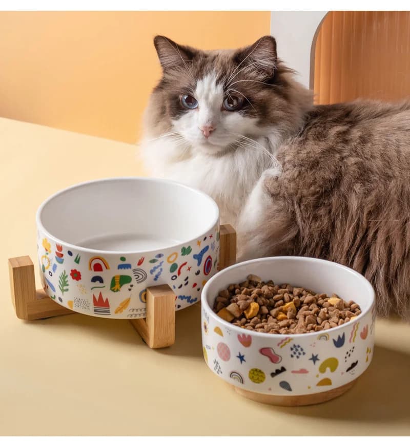 Ciotola in Ceramica a Forma di Gatto con Supporto in Legno, Mangiatoia per Cani e Gatti Piccoli, Ciotola per Acqua e Cibo per Cuccioli, Accessori per Animali Domestici