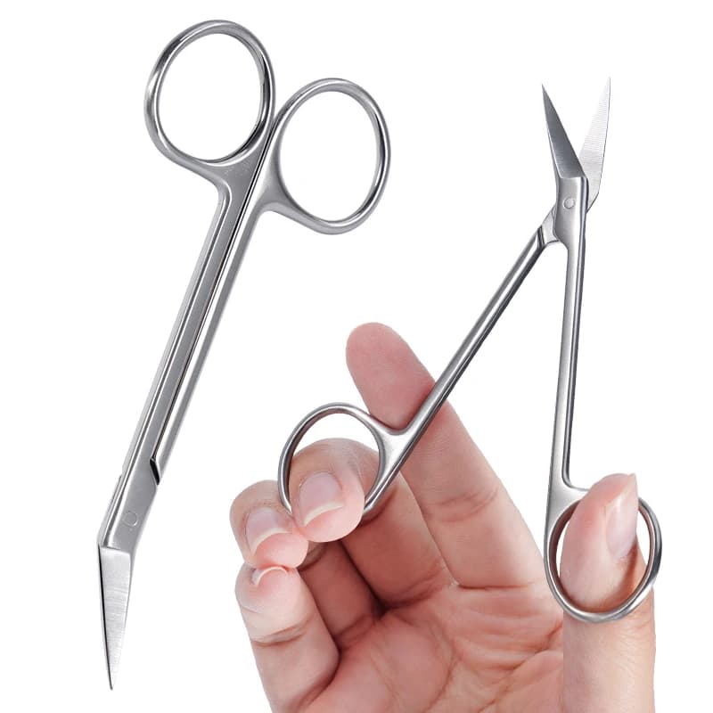 1pc Micro Forbici Dentali Testa Curva Lama In Acciaio Inox Cesoie Affilate Ad Angolate Strumento Operatorio Chirurgico Medico