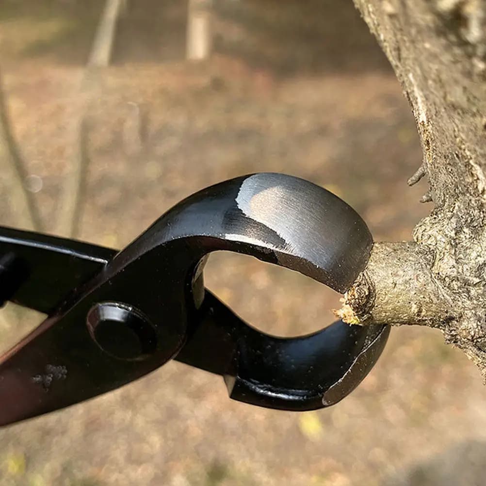 Forbici Professionali per Potatura in Acciaio ad Alto Tenore di Carbonio con Impugnatura Ergonomica e Bordi Circolari Concavi per Bonsai e Giardino