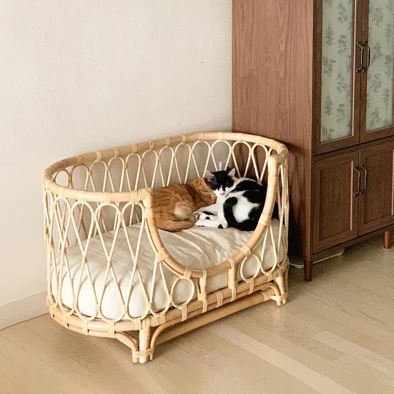 Cuccia per cani per tutte le stagioni, universale per cani di taglia piccola e media, cuccia estiva in rattan per animali domestici, cuccia di lusso per gatti