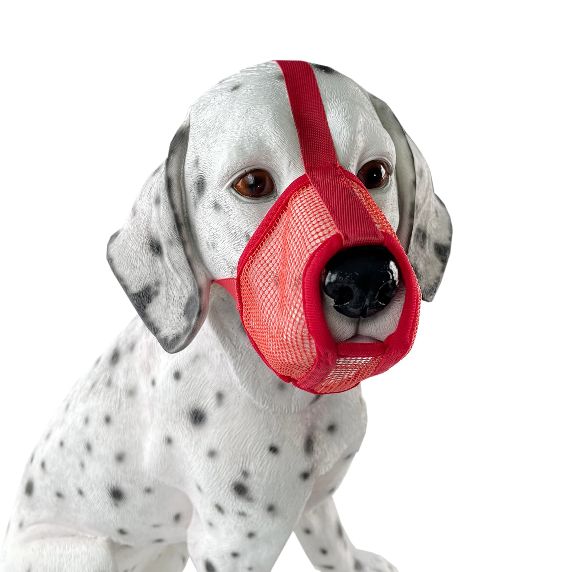 Nuovo bocchino per cani anti-piccola Il cane Maschera per animali domestici Gabbia per bocca per cuccioli di cane adulto Anti-morso Prevenire l'ingestione accidentale dei rifiuti
