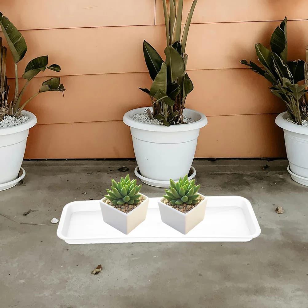 Set of 5 Rectangular Trays for Plants, Subtractors Little Backgrounds in Material PP, Easy to Clean, Garden Accessories