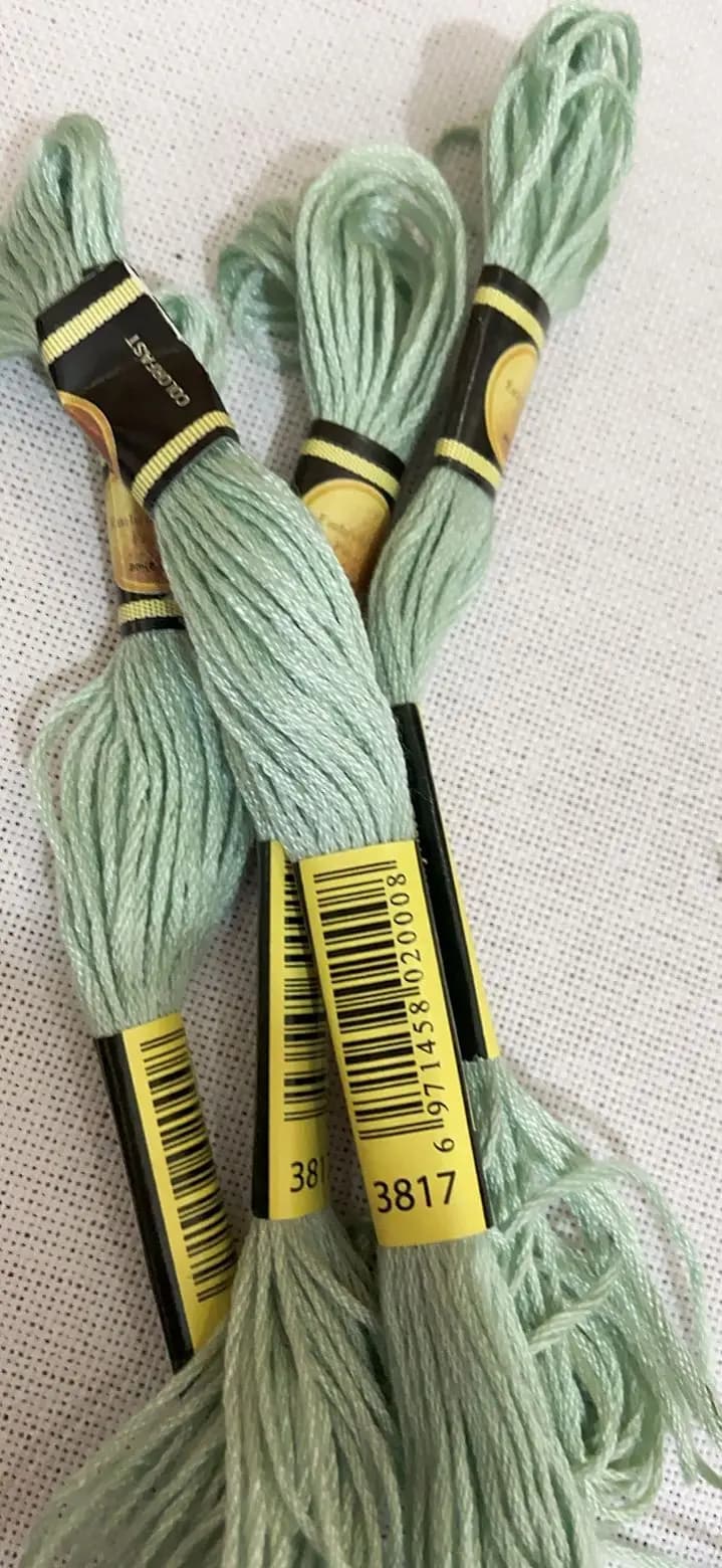 10 PZ/LOL Set Punto Croce Filo Da Ricamo Filo Per Principianti FAI DA TE Braccialetto Artigianale Craft8M Matassa Nessuna Ripeti Arcobaleno DMC 3817