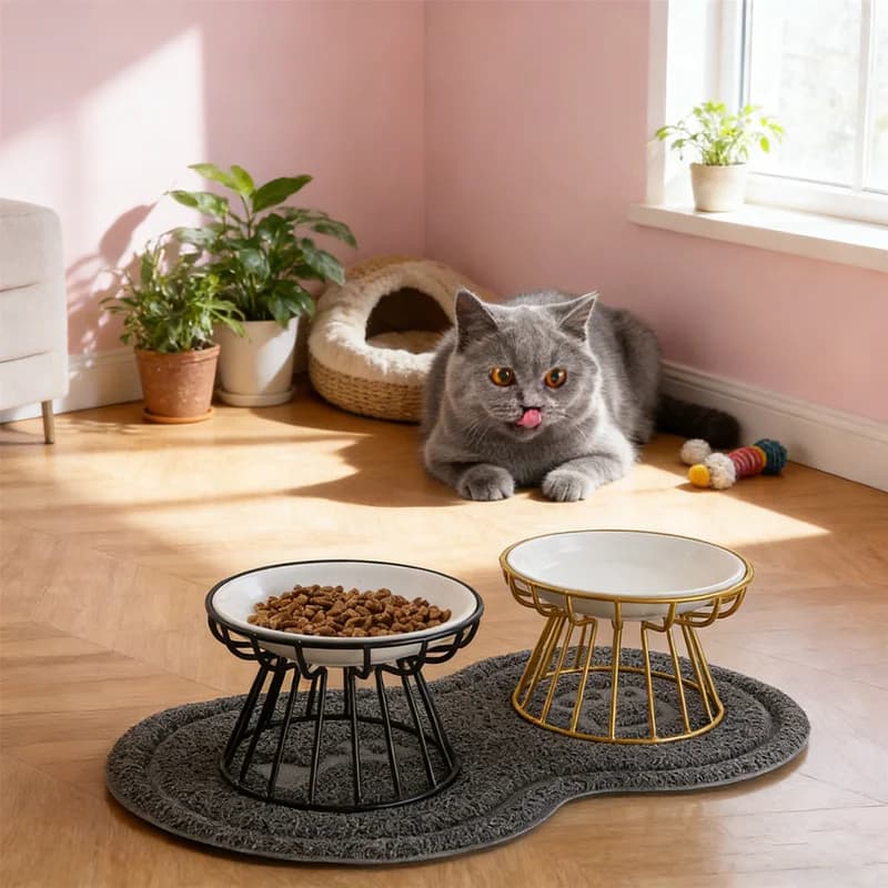 Set di Ciotole in Ceramica 2-in-1 per Animali Domestici con Supporto Rialzato e Doppia Ciotola per Cibo e Acqua, Ciotole in Ceramica per Cani e Gatti per un'Alimentazione Sana e Senza Disordine