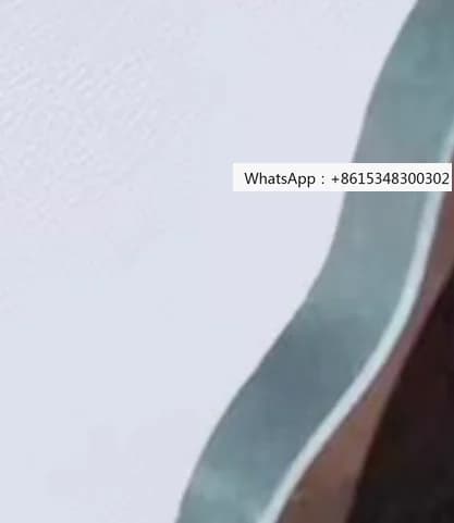 Accessori per riduttore a ingranaggi cicloidali: piastra cicloidale, piastra a pendolo, riduttore a ruota a perni, piastra a pendolo B2X4