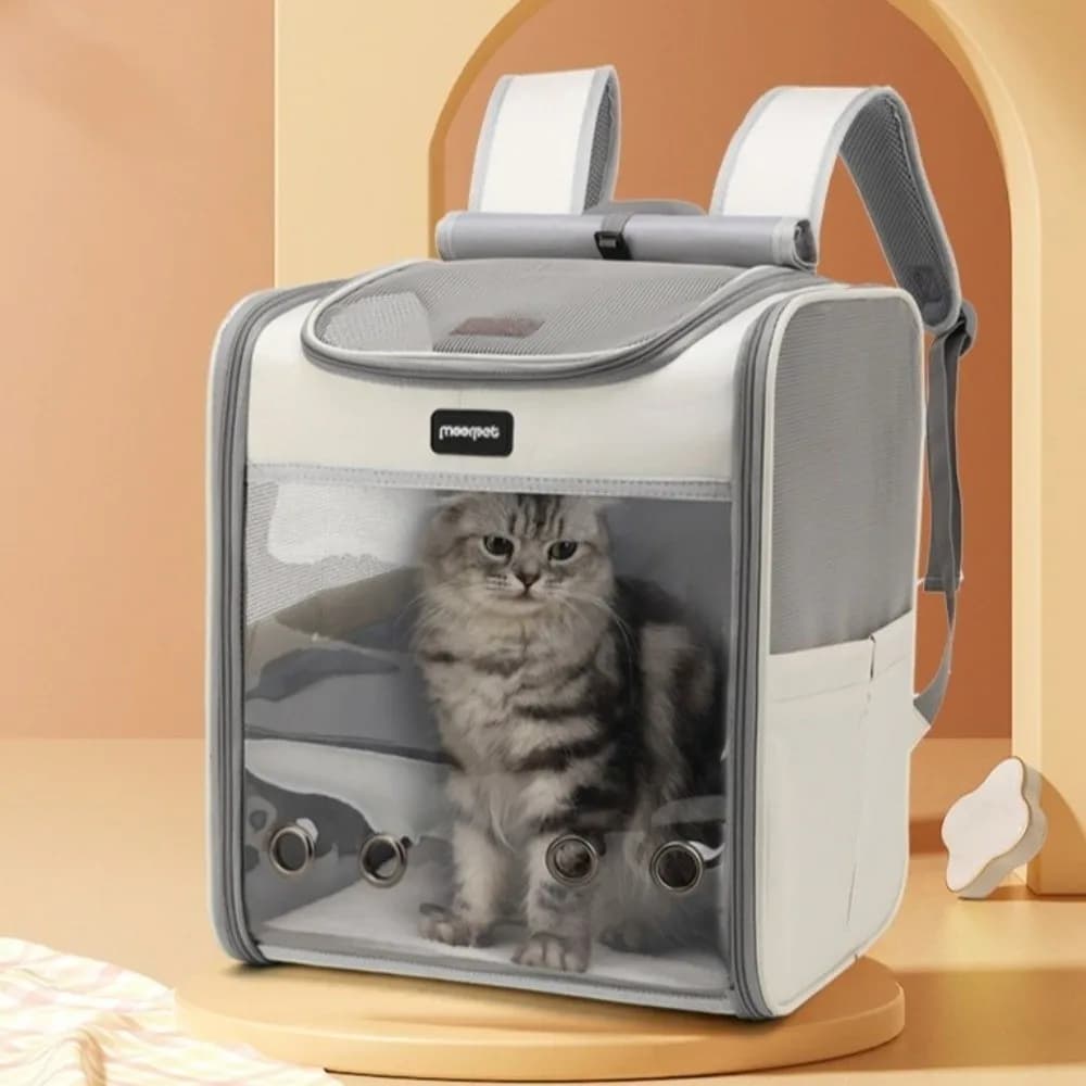Borsa Trasportino Multifunzionale Trasparente per Animali Domestici, Zaino Oxford Pieghevole e Traspirante per Gatti e Cuccioli