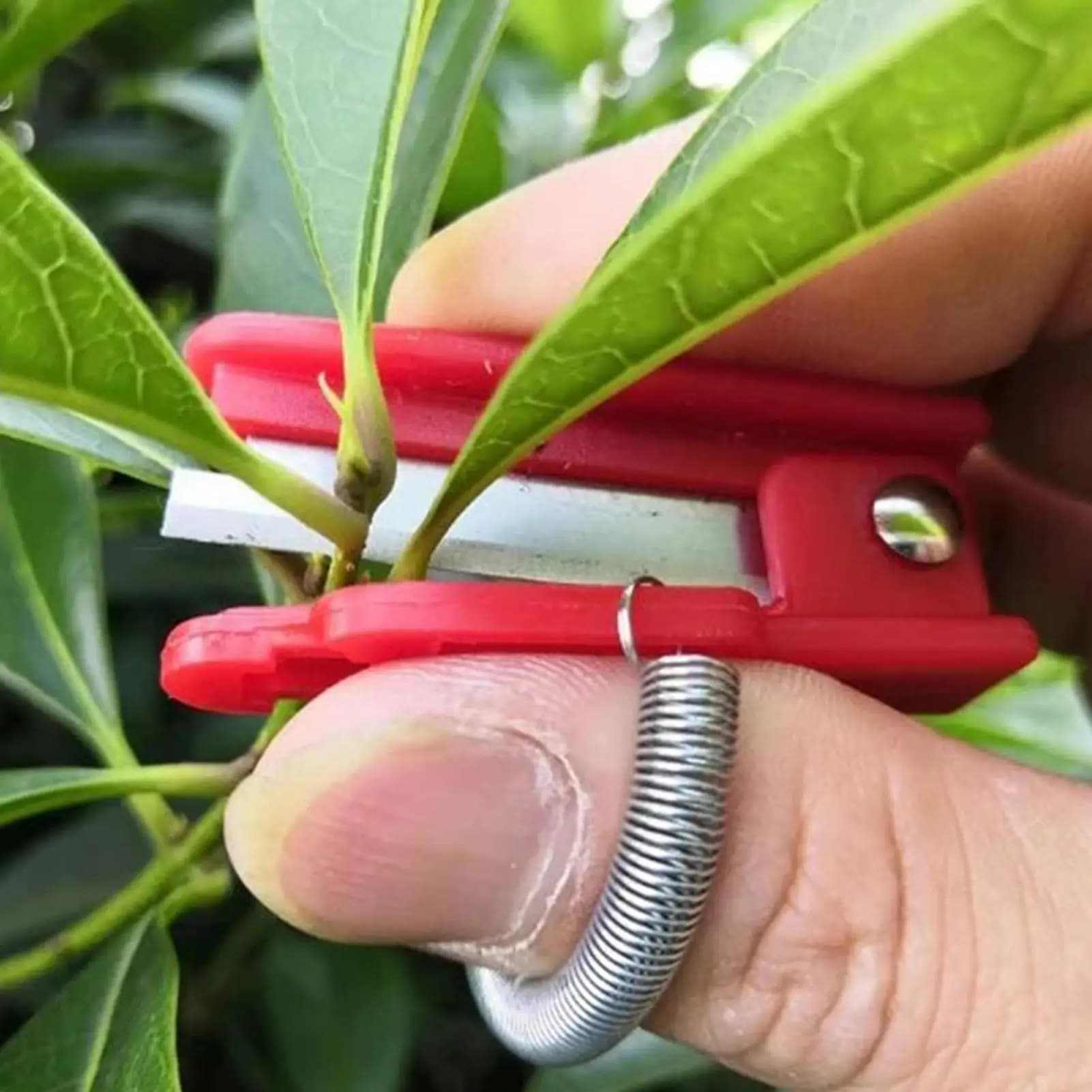 Coltello Multifunzione da Giardino, Dispositivo per la Raccolta della Frutta, Lama Sicura per Frutta, Attrezzo con Anelli di Taglio, Accessori per la Raccolta