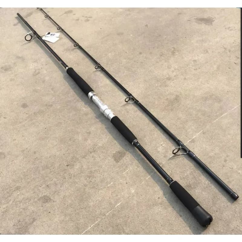 Canna da Pesca in Carbonio all'Ingrosso 2.4 Metri, Robusta per Ancoraggio e Pesca in Acque Profonde, 2 Sezioni, per la Pesca in Mare e la Pesca a Spinning
