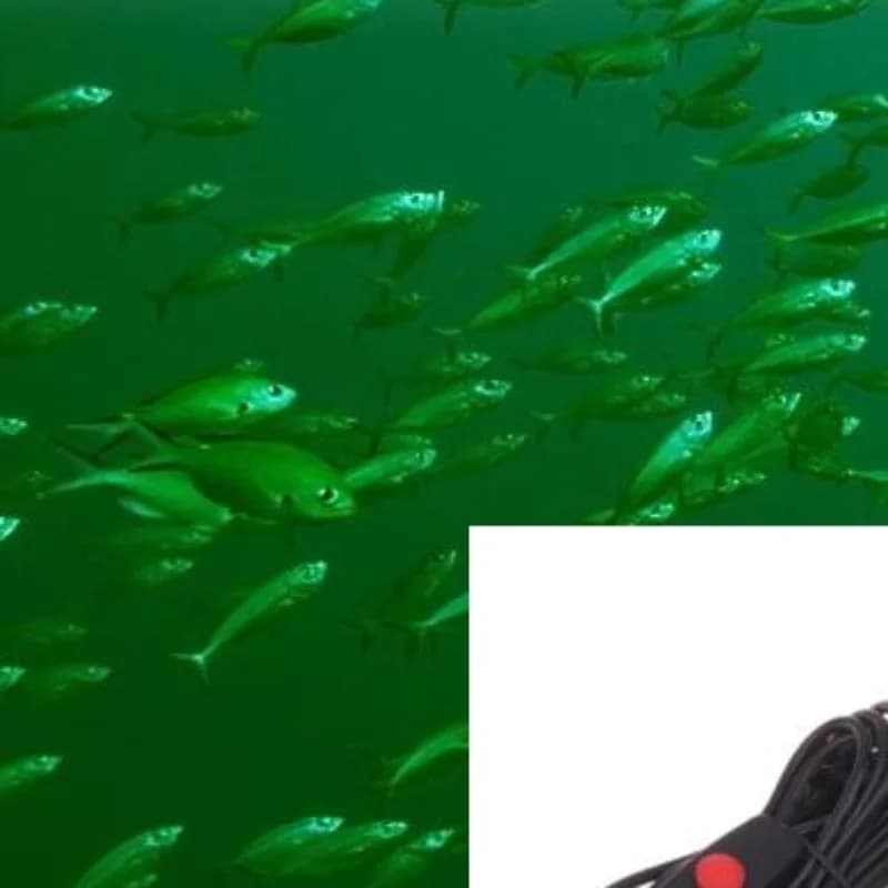 LED Fishing Lamp 5V IP68 Fishing Lamp with bait attracts Krill calamari shrimp 4 colors underwater lights