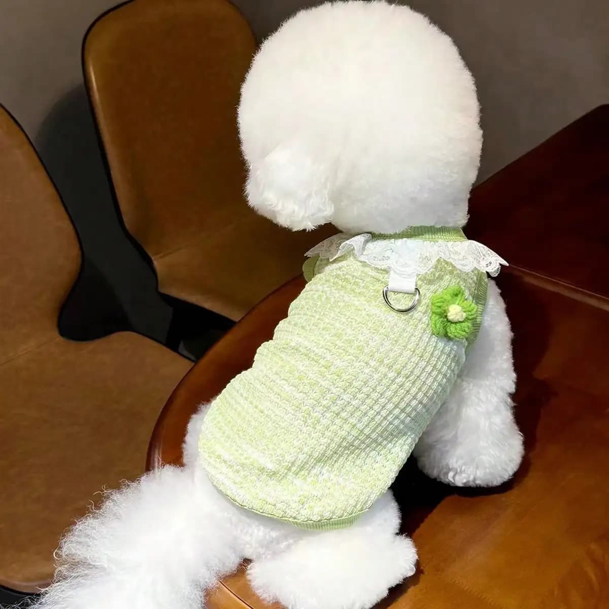 Gilet con Bordo in Pizzo, Nuovo Abbigliamento Floreale per Cani e Gatti Primavera/Estate/Autunno, Vestiti Sottili per Barboncini, Delicato sulla Pelle con Guinzaglio Integrato