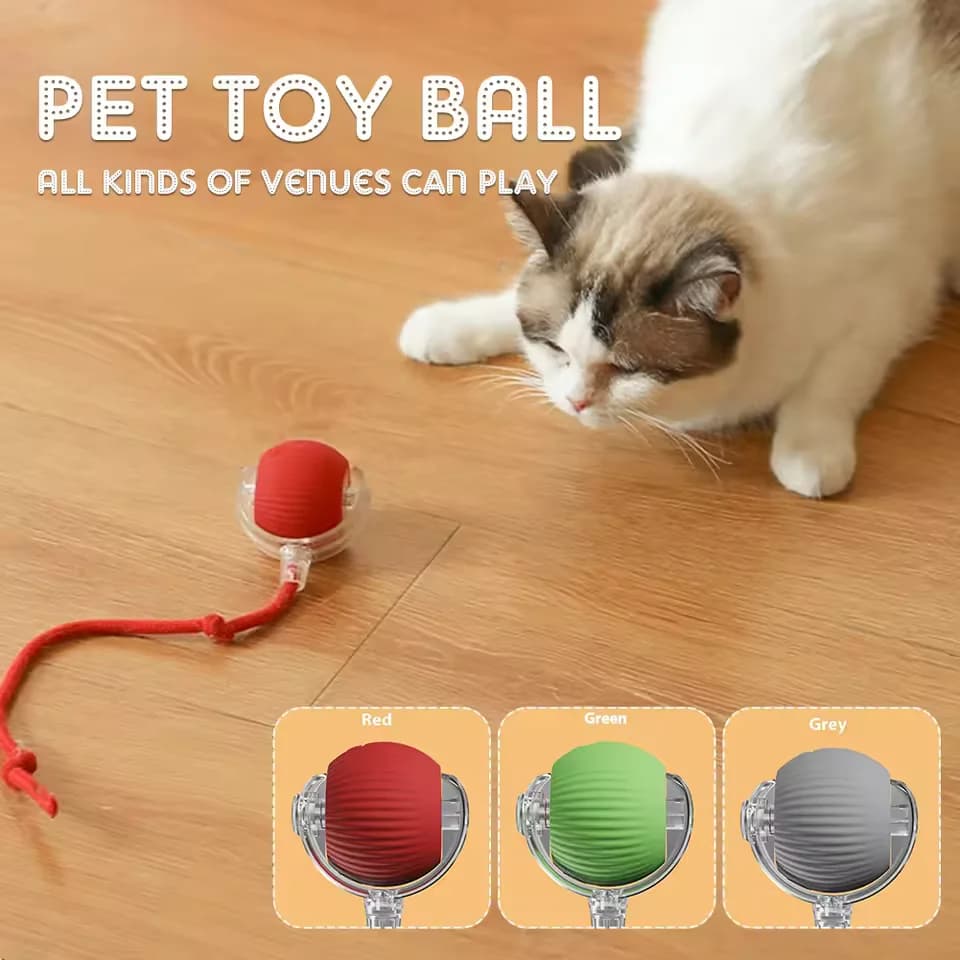 Nuovi giocattoli interattivi per gatti Giocattoli con palline per gatti Giocattoli con palline rotanti elettriche automatiche Palla rimbalzante con coda Palla per gatti Giocattoli per gatti ricaricabili