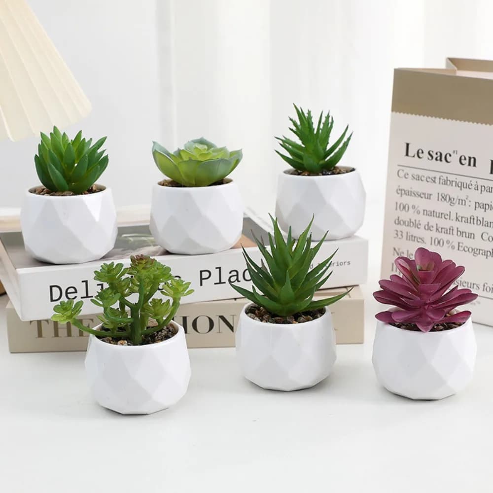 Sempreverde artificiale succulente simulazione plastica piante finte piccole piante in vaso Cactus succulente Bonsai casa