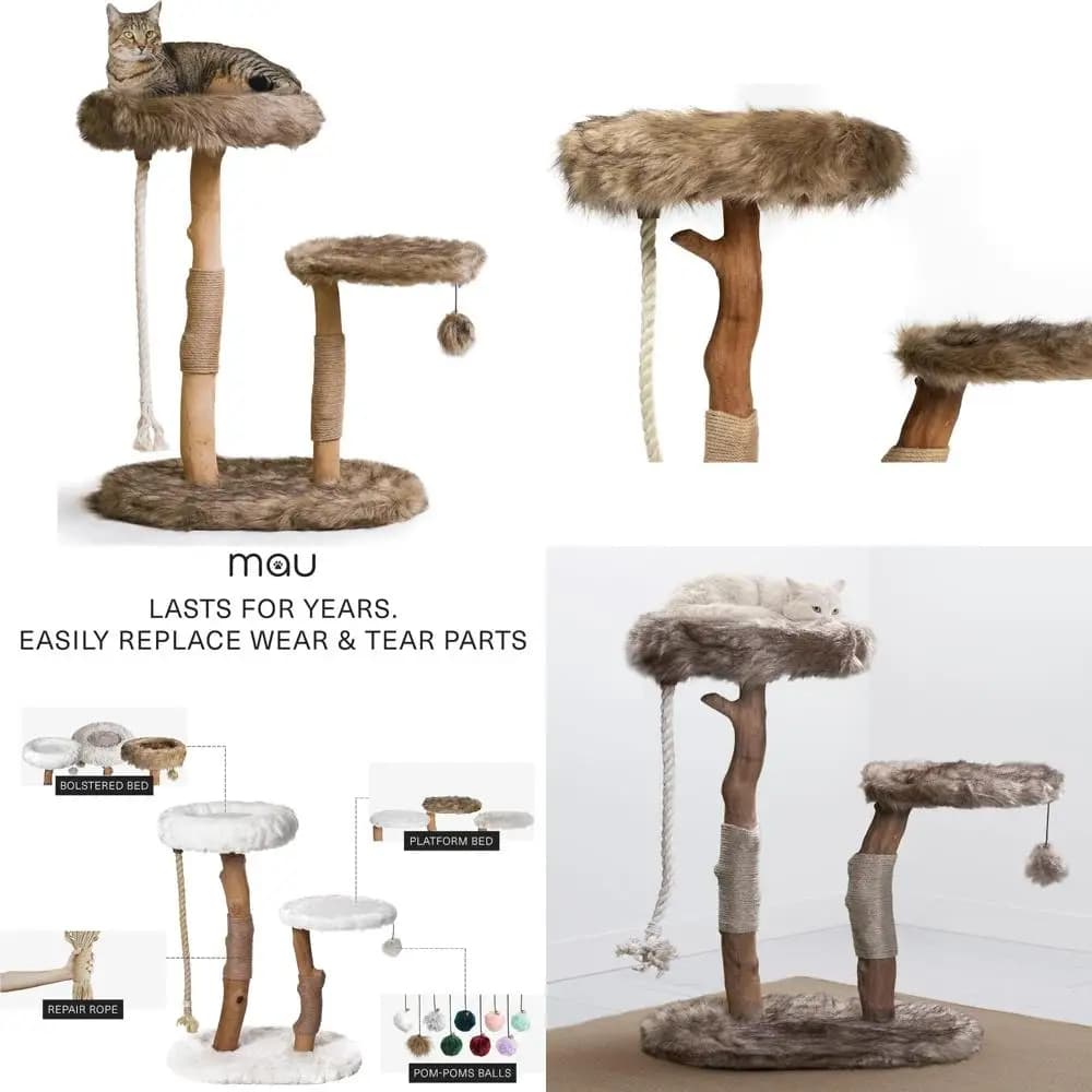 elegante condominio per gatti con ramo naturale e albero da grattare in legno di fascia alta: mobili da arrampicata per gatti premium