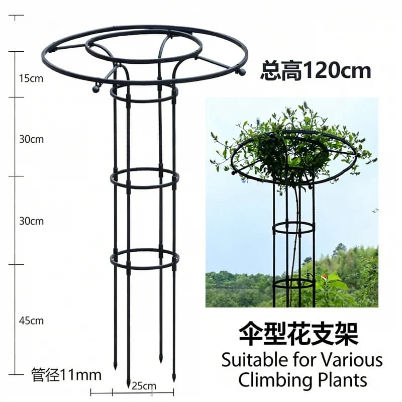 Supporto per Piante Rampicanti a Forma di Ombrello, per Rose e Clematidi, Decorazione per Giardino, Fiori in Vaso, Cortile e Patio