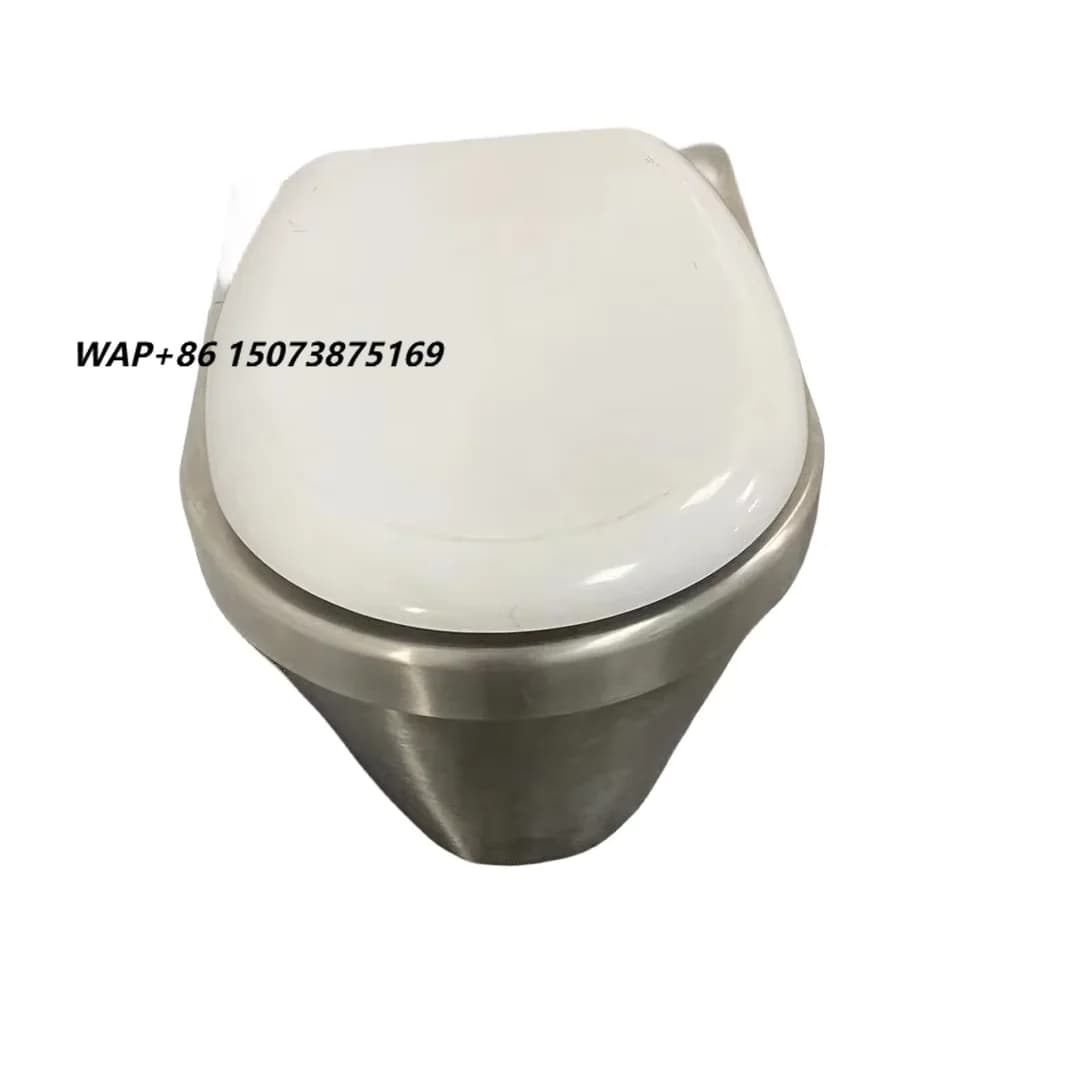 American Style Intelligent Automatic Electric Toilet Elegant Custom Color Bathroom Mobile Toilets