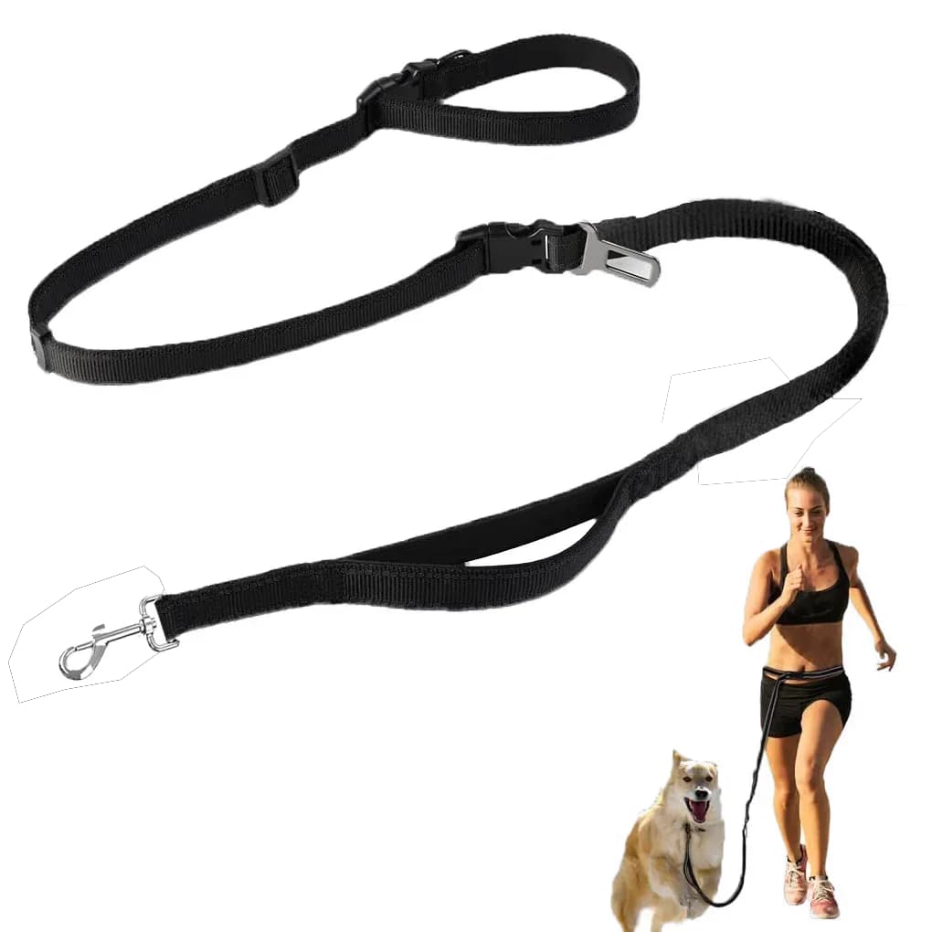Guinzaglio per Cani Senza Mani 2,5*250cm in Nylon con Cintura di Sicurezza per Auto, Guinzaglio per Addestramento e Passeggio, per Cani Medi e Grandi, Catena di Sicurezza per Animali Domestici