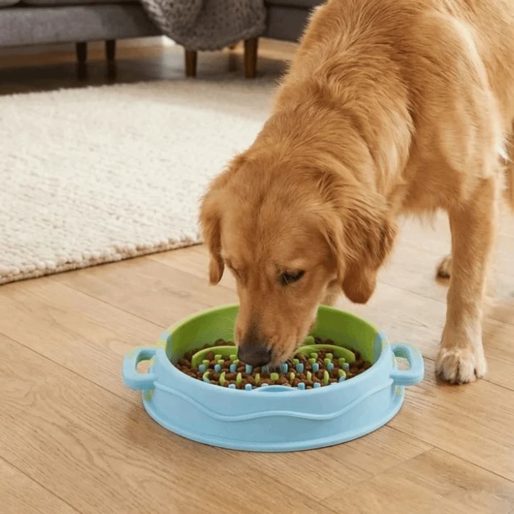 Ciotola in Silicone per Cani a Lenta Alimentazione con Doppio Manico, Antiscivolo, Anti-Soffocamento, Anti-Ribaltamento, per l'Arricchimento del Cane
