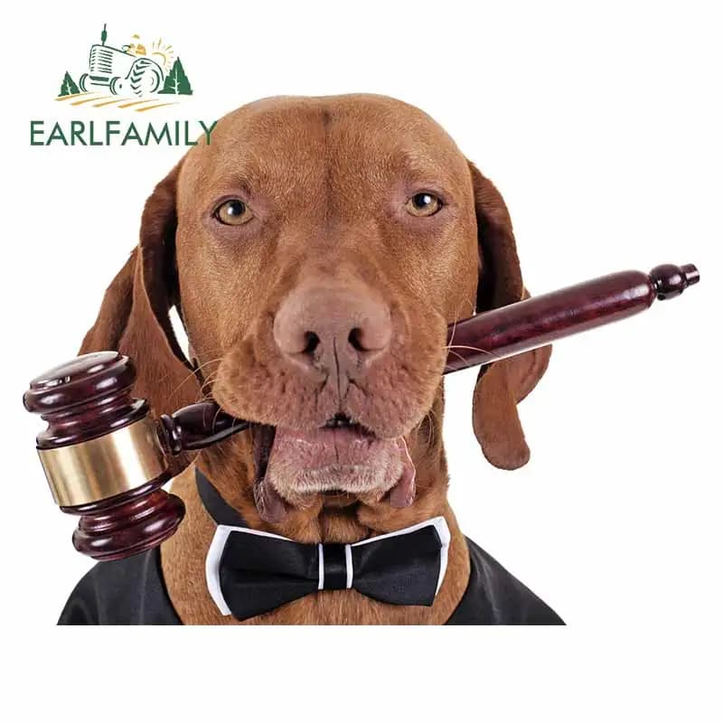 EARLFAMILY 13cm x 10.2cm for Dog Fashion Occlusion Scratch Car Decals Bumper Window Stickers Scratch-Proof Refrigerator Laptop